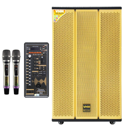 Loa karaoke di động 15A-01 Plus