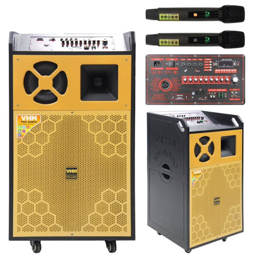 Loa karaoke di động 18X300